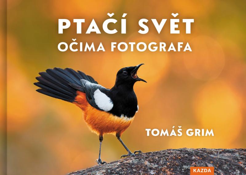 Pta�� sv�t o�ima fotografa