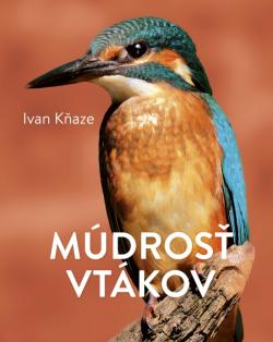 M�dros� vt�kov
