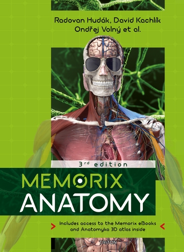 Memorix Anatomy ang. 3v