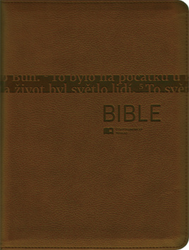 Bible 1291 bronzov�