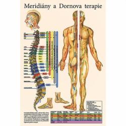 Mapa - Meridi�ny a dornova terapie
