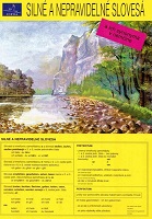 Mapa - Siln� a nepravideln� sloves� v n�m�in�