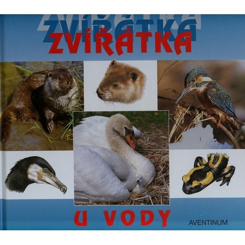 Zv���tka u vody