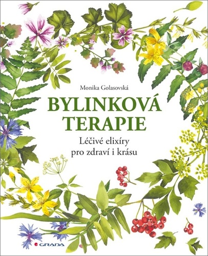 Bylinkov� terapie