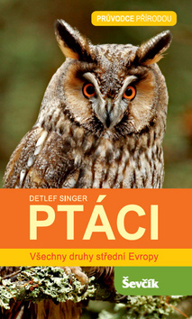 Pt�ci �EV��K