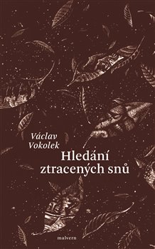 Hled�n� ztracen�ch sn�
