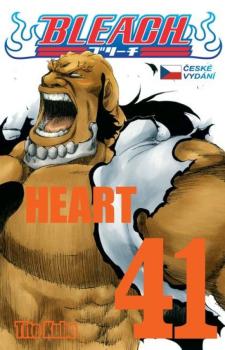 Bleach 41