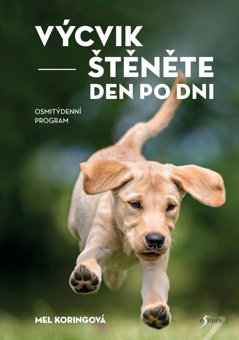 V�cvik �t�n�te den po dni