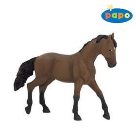 Anglick� Thouroughbred PAPO