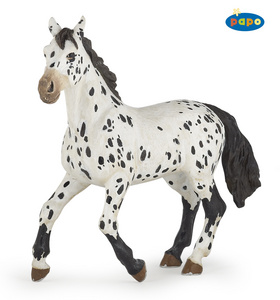 Appaloosa �ern� PAPO