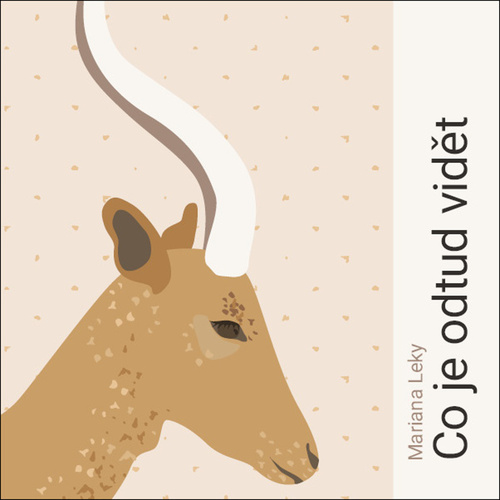 CD Co je odtud vid�t TYMPANUM