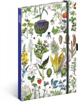 Notes Bylinky Kate�iny Winter te� PRESCO