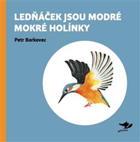 Ledn��ek jsou modr� mokr� hol�nky