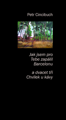 Jak jsem pro tebe zap�lil Barcelonu