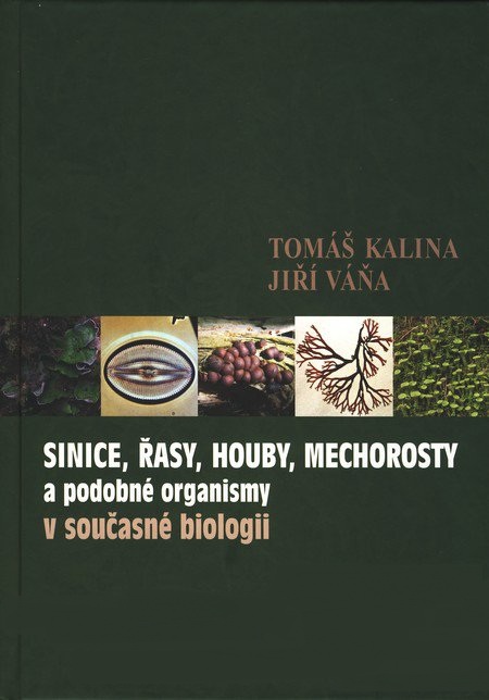 Sinice, �asy, houby, mechorosty a podobn� organismy v sou�asn� biologii