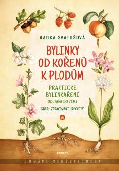 Bylinky od ko�en� k plod�m