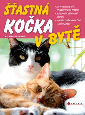 astn koka v byt