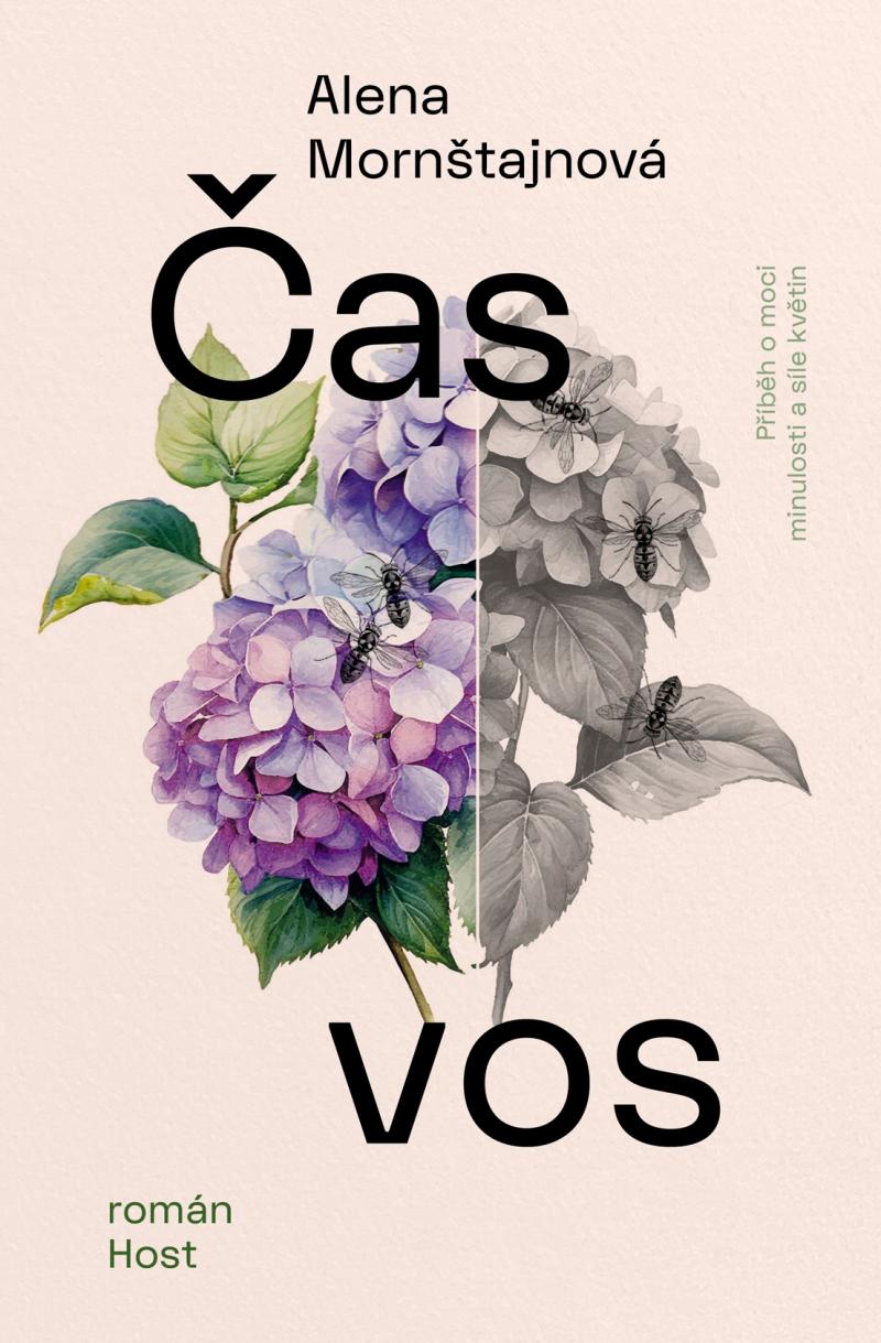 �as vos