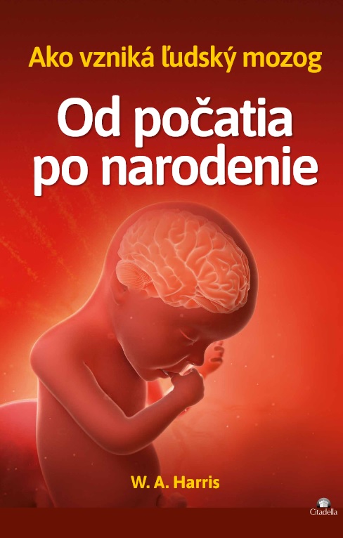 Od po�atia po narodenie